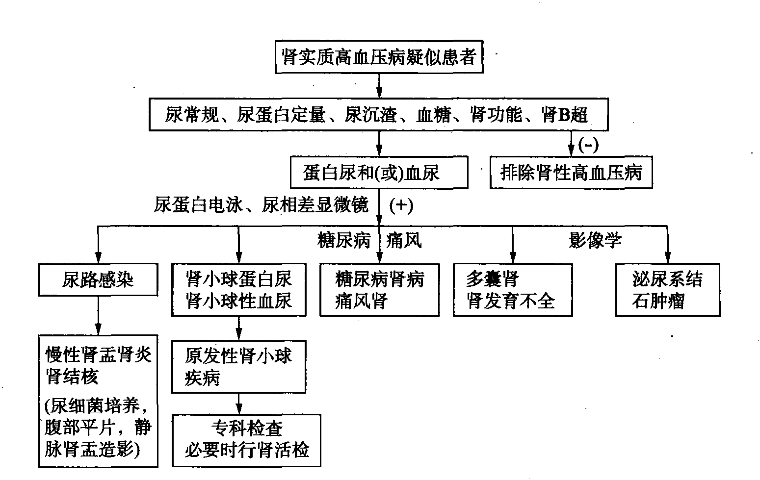 第四節(jié) 高血壓